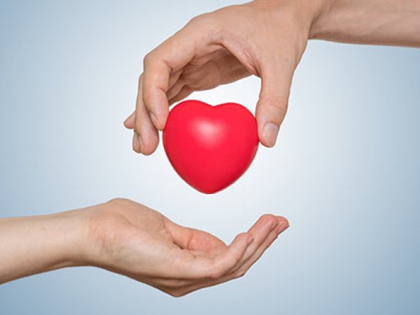 Que savez-vous sur le don d’organes?